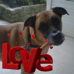 Meet your Posher, Lynne